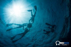 Lire la suite à propos de l’article Calendrier stage apnée – 2025