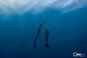 Lire la suite à propos de l’article Top 10 des photographies apnée 2015