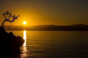 Lire la suite à propos de l’article Stage d&rsquo;apnée aux philippines – vidéo !