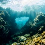 Lire la suite à propos de l’article Top 10 photographies apnée 2016