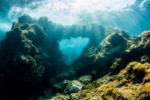 Lire la suite à propos de l’article Top 10 photographies apnée 2016