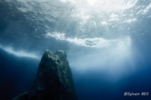 Lire la suite à propos de l’article Top 10 photographie en apnée – 2017