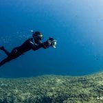 Lire la suite à propos de l’article Photo sous-marine en apnée : 5 conseils pour bien débuter