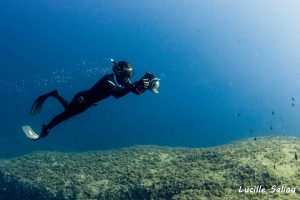 Lire la suite à propos de l’article Photo sous-marine en apnée : 5 conseils pour bien débuter