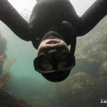 Lire la suite à propos de l’article Nouvelle monitrice d&rsquo;apnée chez Omniblue !