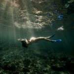 Lire la suite à propos de l’article Top 10 photographies 2021