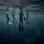 Lire la suite à propos de l’article Planning des prochaines sorties