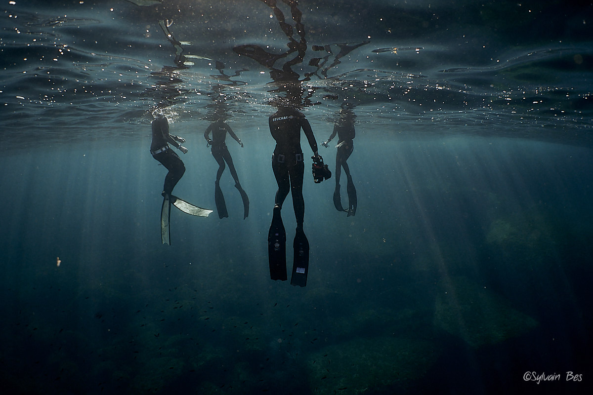 You are currently viewing Planning des prochaines sorties