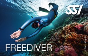 FORMATION FREEDIVER