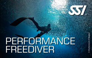 FORMATION PERFORMANCE