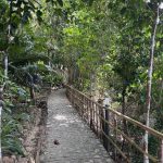 chemin entre végétation et plage au resort San Pedro à Romblon