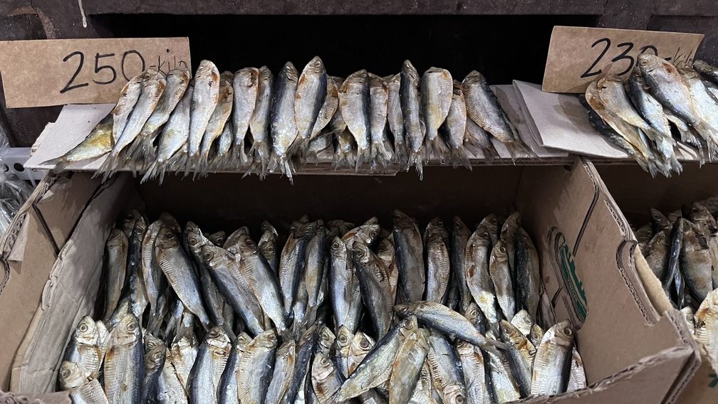 l'étale de poisson au marché de Romblon, Philippines