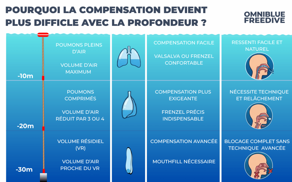 Schéma expliquant pourquoi la compensation devient plus difficile entre 10, 20 et 30 mètres.