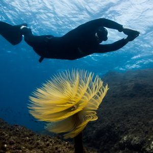 top_photo_apnee_2017_05